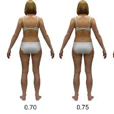 Affordable and search from millions of royalty free images, photos and vectors. Examples Of Stimuli Silhouettes Color Version Of Average Weight Woman Download Scientific Diagram