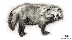 Raccoon face logo raccoon face logo, simple black vector icon on white background raccoon stock illustrations animal head collection illustration, drawing, engraving, ink, line art, vector illustration, what made by ink and pencil on paper, then it was digitalized. Raccoon Dog Kinici