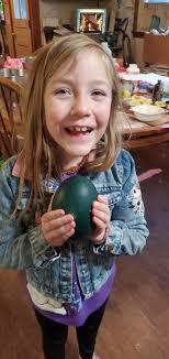 Emu hatching eggs available chance for blond! 🦖 Or if you have ever wanted  to to serve a unique gourmet omelet 🍳🥚pm for more information