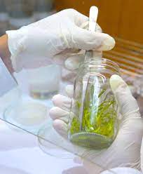 We did not find results for: à¸£ à¸§ à¸§ à¸§ à¸—à¸¢à¸²à¸¥ à¸¢à¸™à¸§ à¸•à¸à¸£à¸£à¸¡à¹€à¸à¸©à¸•à¸£ à¹€à¸—à¸„à¹‚à¸™à¹‚à¸¥à¸¢ à¸Š à¸§à¸ à¸²à¸ž à¹à¸¥à¸°à¸­à¸²à¸«à¸²à¸£ à¸ªà¸²à¸‚à¸²à¸™à¸§ à¸•à¸à¸£à¸£à¸¡à¹€à¸à¸©à¸•à¸£ à¸¡à¸«à¸²à¸§ à¸—à¸¢à¸²à¸¥ à¸¢à¸£ à¸‡à¸ª à¸• U Review