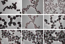 Moreover, i noticed that edges almost disappeared in the lecture's output, and around each detected blob, there seems. Automated Blob Detection Using Iterative Laplacian Of Gaussian Filtering And Unilateral Second Order Gaussian Kernels Sciencedirect
