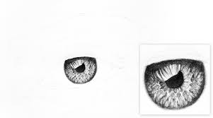 How to draw a face : How To Draw A Realistic Eye