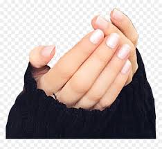 Hand Hands Holding Cupped Tenderhan Caring Precious Sign Hd Png Download Vhv To consider something as a reason to have a bad opinion about someone or something: hand hands holding cupped tenderhan