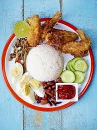 Santan kelapa dari satu biji kelapa/santan sawit. Resepi Www Nasi Lemak Kukus Com Inibaruresepi Gobitage Com