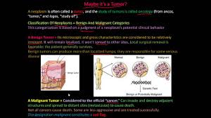 Bone tumor • refers to a neoplastic abnormal growth of tissue in bone. 111p What Is A Tumor Classification Of Neoplasms Benign And Malignant Youtube