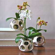 Casa Giardino Etsy Miniature Orchids Orchid Planters Orchid Pot