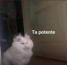 Nada en la medicina es completamente seguro e incluso se usan terapias altamente tóxicas en circunstancias determinadas. Mayores De 30 Sufrieron Por Efectos Secundarios De Astrazeneca Y Se Desataron Los Memes Infobae