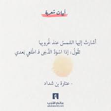 بيت غزلي رائع لـ عنترة بن شداد عالم الأدب words quotes spirit quotes mixed feelings quotes