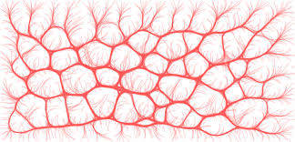 Sound more professional and stay connected with grasshopper, the virtual phone system designed for entrepreneurs and small businesses. 340 Grasshopper Ideen Parametrisches Design Parametrische Architektur Generative Kunst