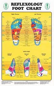 Amazon Com Reflexology Foot Chart Reflexology Zones