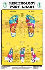 amazon com reflexology foot chart reflexology zones