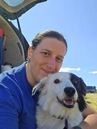 Is there anywhere that still offers "no contact" style dog boarding? Like  indoor/outdoor runs with dividers for dogs who can't be handled safely?