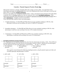 This is the currently selected item. Genetics Punnett Squares Practice Packet Bio