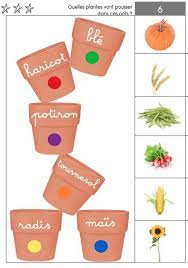 Au jardin potager, il y a encore beaucoup de fruits et légumes à récolter en septembre. Que Peut On Planter En Septembre Quelles Activites En Maternelle Avec Des Graines De Tres Jolies Reponses Jardinage Maternelle Jardinage Enfants Jardinage