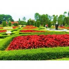 Kebun raya bogor ratu galuh mangku alam makam keramat mbah jepra sejarah singkat keluarga raja. Profil Taman Bunga Cihideung Bandung