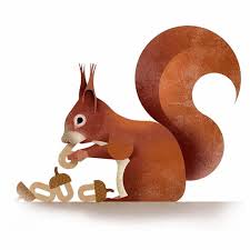 656 次赞 11 条评论 dieter braun brauntown 在 instagram 发布 6000 thank you so much 6000 6000followers followme illustration art art inspiration squirrel