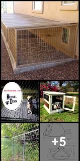 Check spelling or type a new query. Great Images Outdoor Pet Kennels For Sale Exterior Dog Runs Custom Coyote Proo Great Images Outdoor Pet Kenne Kennels For Sale Pet Kennels Diy Dog Kennel