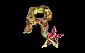 All of the rockstar wallpapers bellow have a minimum hd resolution (or 1920x1080 for the tech guys) and are easily downloadable by clicking the image and. Rockstar Games Wallpaper 2560x1600 69561