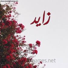 Browse millions of popular free fire wallpapers and ringtones on zedge and personalize your phone to suit you. All Decorations And Characters For Zaid Decoration Cool Names
