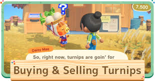 When daisy mae is selling turnips. Acnh Turnip Prices Guide Best Time To Sell Animal Crossing Gamewith