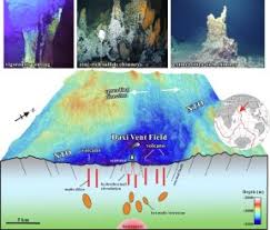 A conceptual biogeochemical model of the loki's castle vent field. The Daxi Vent Field An Active Mafic Hosted Hydrothermal System At A Non Transform Offset On The Slow Spreading Carlsberg Ridge 6 48 N Sciencedirect