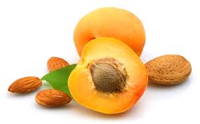 Hasil gambar untuk buah Aprikot