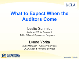 Each state is going to be slightly different when you enter the facility. What To Expect When The Auditors Come