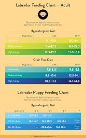 Labrador Feeding Guide With Chart Lovejoys Lovejoys