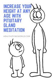 Increase Your Height At Any Age With Pituitary Gland Meditation Healthifying World Increase Height Exercise Tips To Increase Height Height Growth
