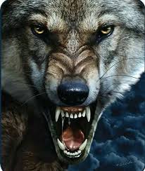 Pin On Wolves