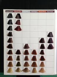Oem 3 Folds Salon Hair Color Chart Buy Hair Color Chart Hair Color Chart Hair Color Chart Product On Alibaba Com