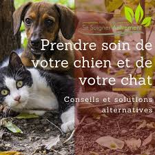 Les Conseils Sante Naturelle Pour Soigner Chiens Et Chats