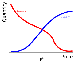 The Shape Of Supply And Demand Curves In Rapidly Clearing