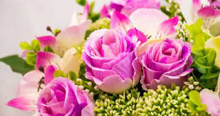 Such as in our collection of pictures of beautiful bouquets! The Best Flowers To Buy Someone With Allergies The Brighton Flower Company