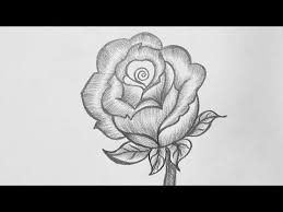 Pencil Drawing Rose Flower How To Draw Rose Pencil Drawing Easy Rose Pencil Drawing Youtube In 2020 Pencil Drawings Roses Drawing Pencil Drawings Easy