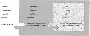 Relations Between Biological Psychological And Social Aspects In Download Scientific Diagram