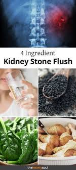 Pin On For Your Kidneys