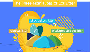 13 Best Cat Litters Of 2019 Unbiased Review Were All