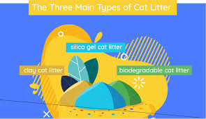 13 best cat litters of 2019 unbiased review were all