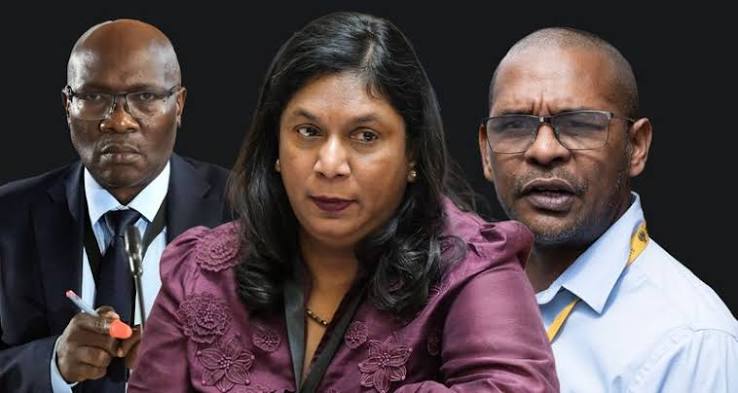 Idac 'not on Crime Intelligence officer witch-hunt' — Andrea Johnson