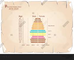 Population Demography Vector Photo Free Trial Bigstock