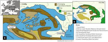 Loteria română continuă seria extragerilor la loto 6/49, noroc, joker, noroc plus, loto 5/40 și loto, duminică, 28 mai 2017. The Mid Langhian Flooding In The Eastern Central Paratethys Integrated Stratigraphic Data From The Transylvanian Basin And Se Carpathian Foredeep Springerlink