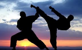 Risultato immagini per fukugo karate