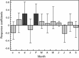 Image result for Bivinia jalbertii