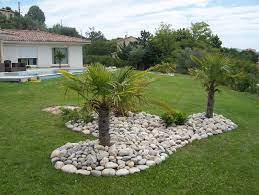 Voir les аvis clients et les prix. Massif Avec Palmier Recherche Google Decoration Jardin Exterieur Jardin Exotique Deco Jardin