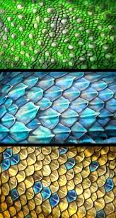 Additionally, you can browse for other related vectors from the tags on topics abstract, background, catamart, chain. Scales By Amisgaudi On Deviantart Scale Tattoo Dragon Drawing Dragon Sketch