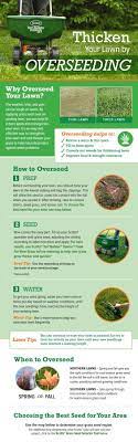 Bring Your Lawn Back To Life By Learning How To Overseed A Lawn Overseeding Is A Practice That Helps Maintain Your Law Overseeding Overseeding Lawn Grass Care