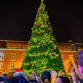 Tree Lighting Festival