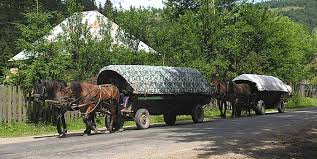 La Roumanie voudrait interdire la circulation des chevaux sur ses ...