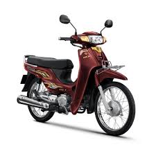 Scoopy White